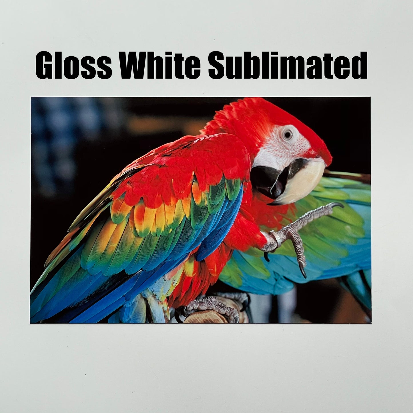 3x9 Gloss White Aluminum Sublimation Blanks - Set of 10